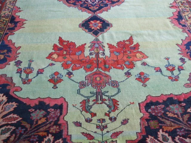 V9159 field detail.JPG