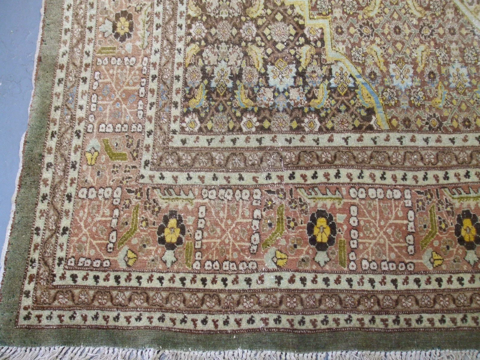 V11497 corner.jpg