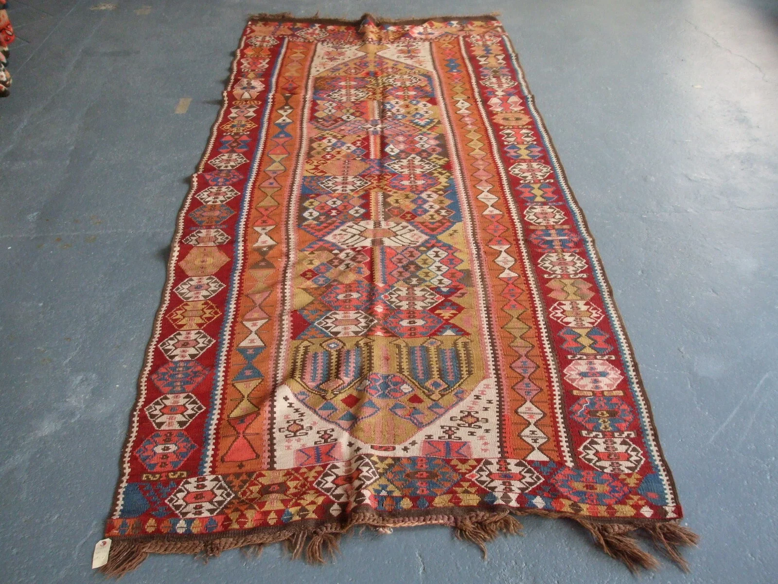 11681  328 x 133.JPG