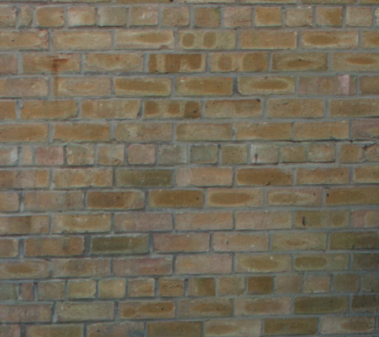 BRICKS & BLOCKS