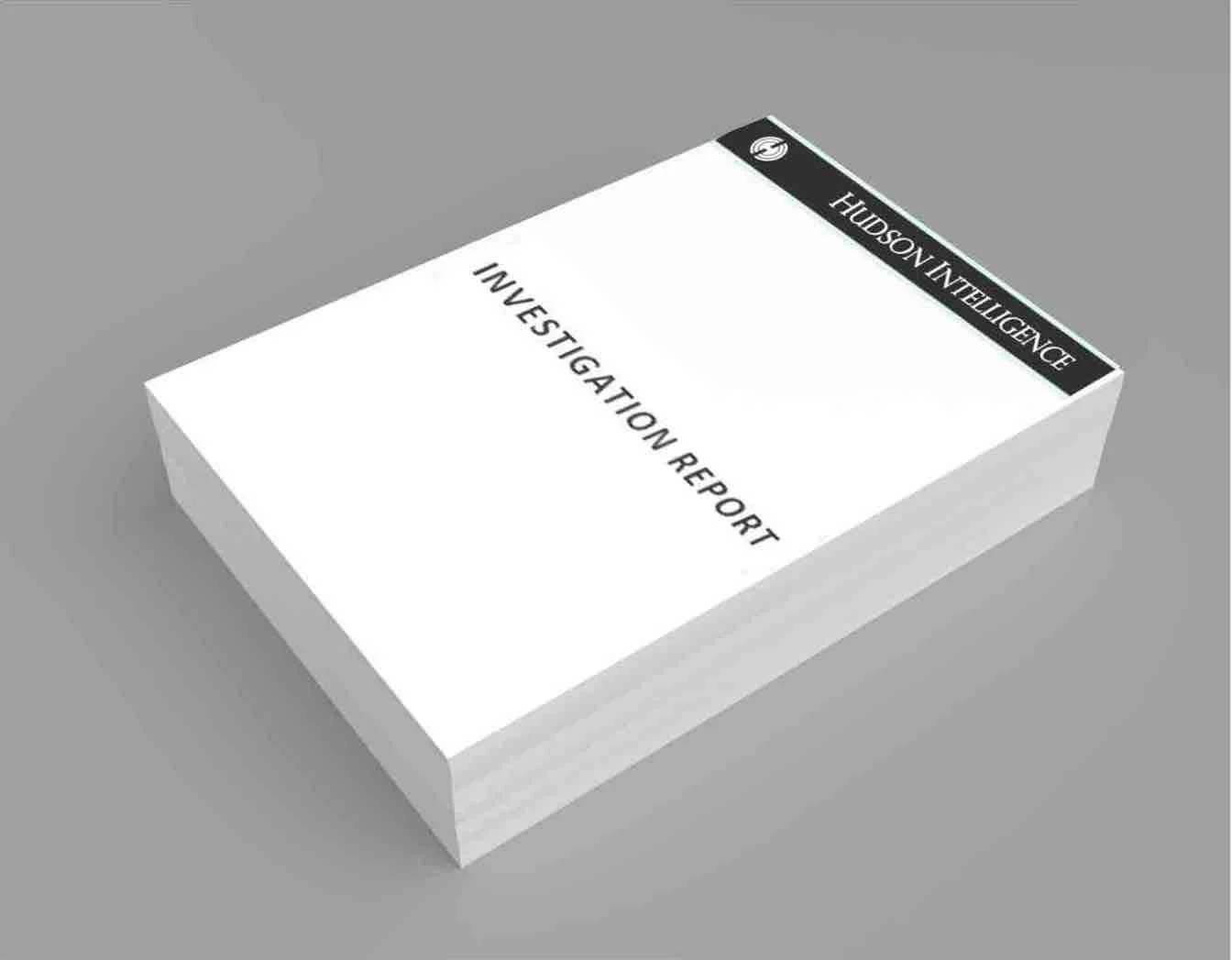Sample Reports | Financial Fraud Investigation | Hudson Intelligence