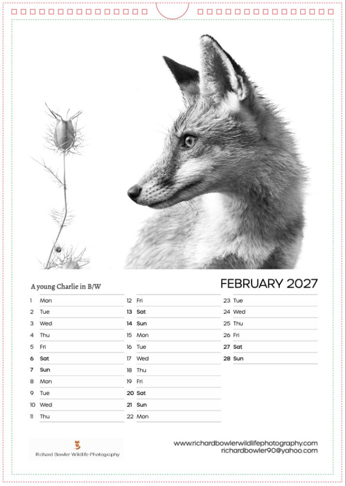 Screenshot 2026-10-15 at 15.26.37.png