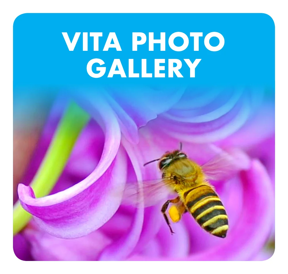 vita-photo-gallery.jpg