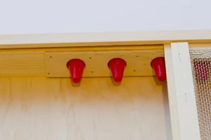ApiShield’s cone entrances prevent pests escaping