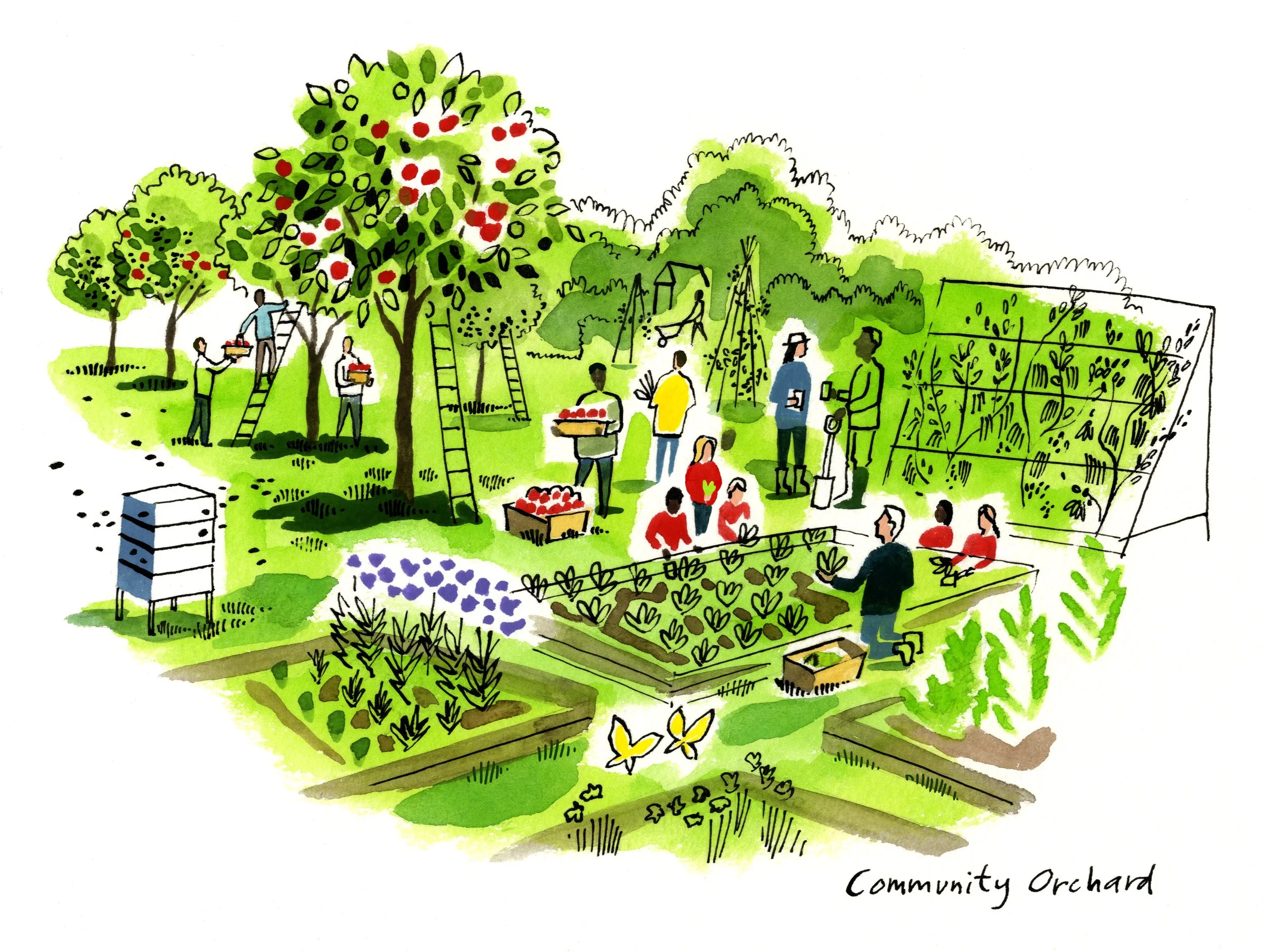 Welborne Community Orchard ART .jpg