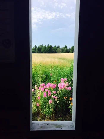 0715_window.jpg