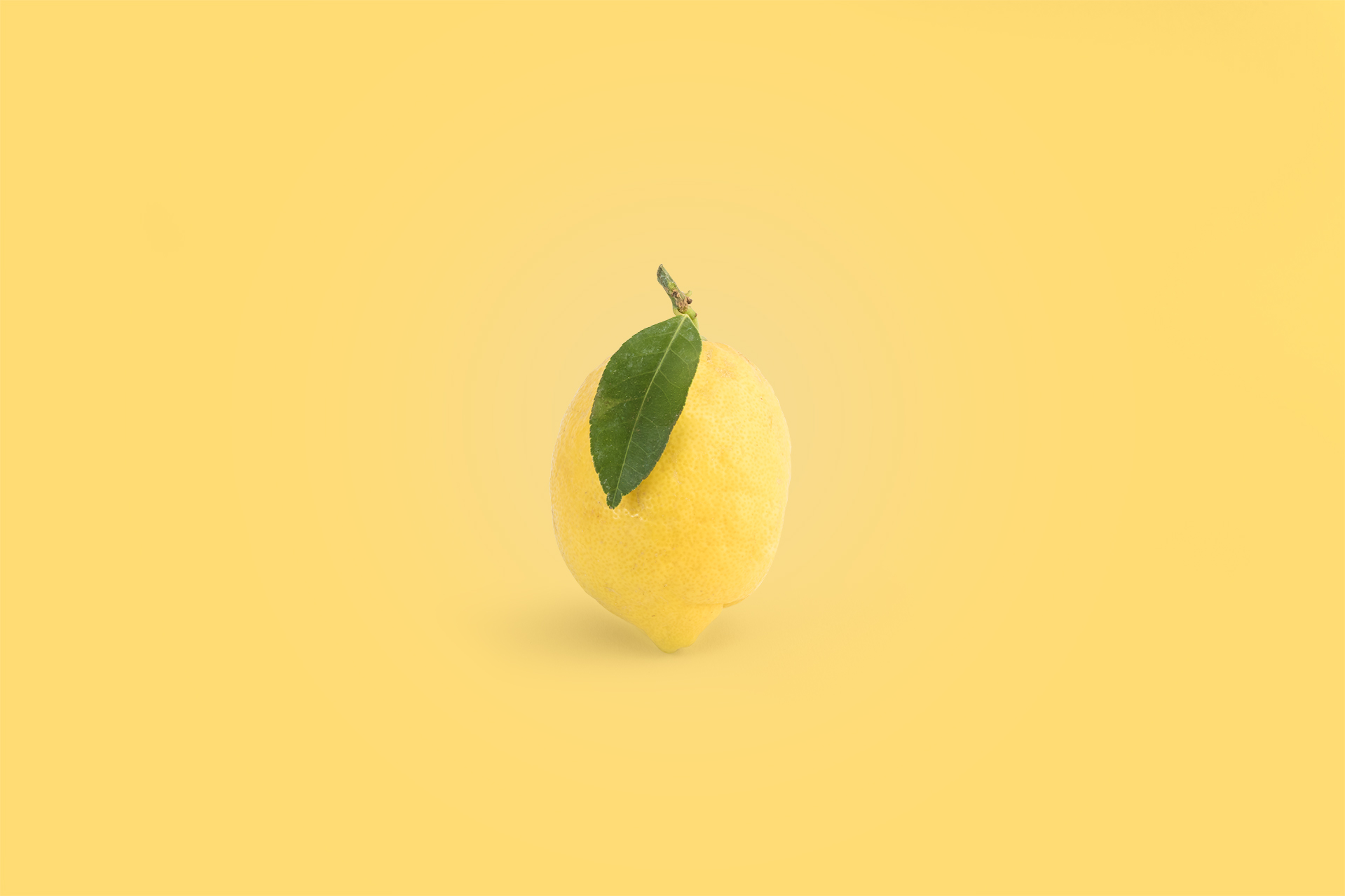 Yellow Lemon.jpg