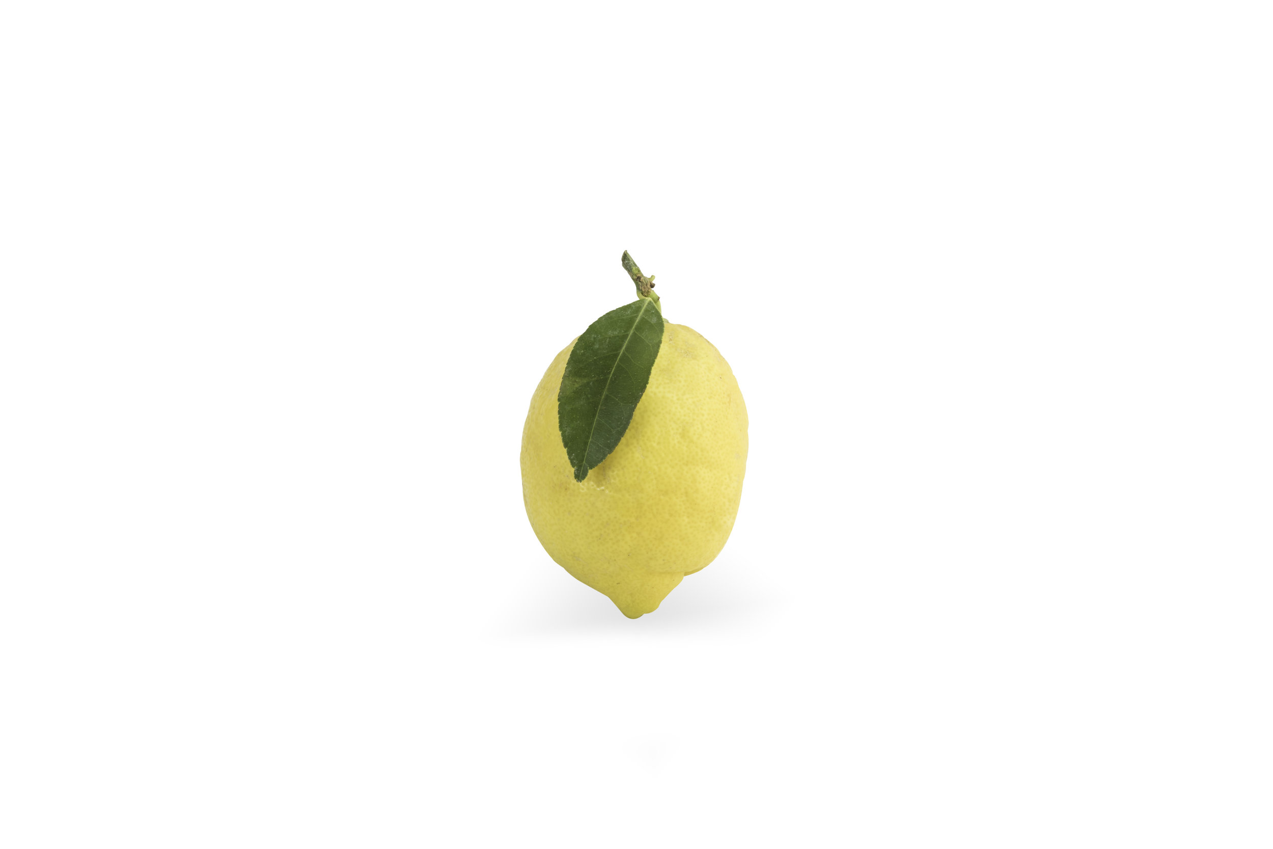 White Lemon pure.jpg