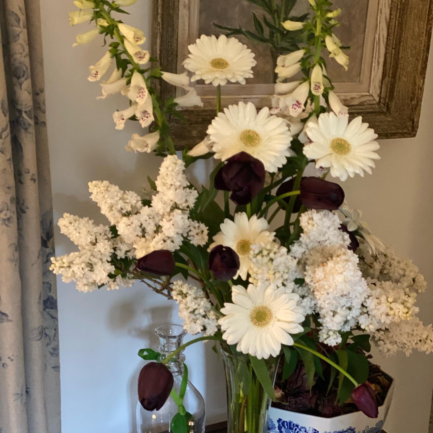 Well as we start the beginning of the #week these are my flowers likewise for the duration and I don&rsquo;t often do #blackandwhiteflowers but kinda suited the #mood well I thought with the #sensational #blacktulips #queenofthenight with #gardenlila