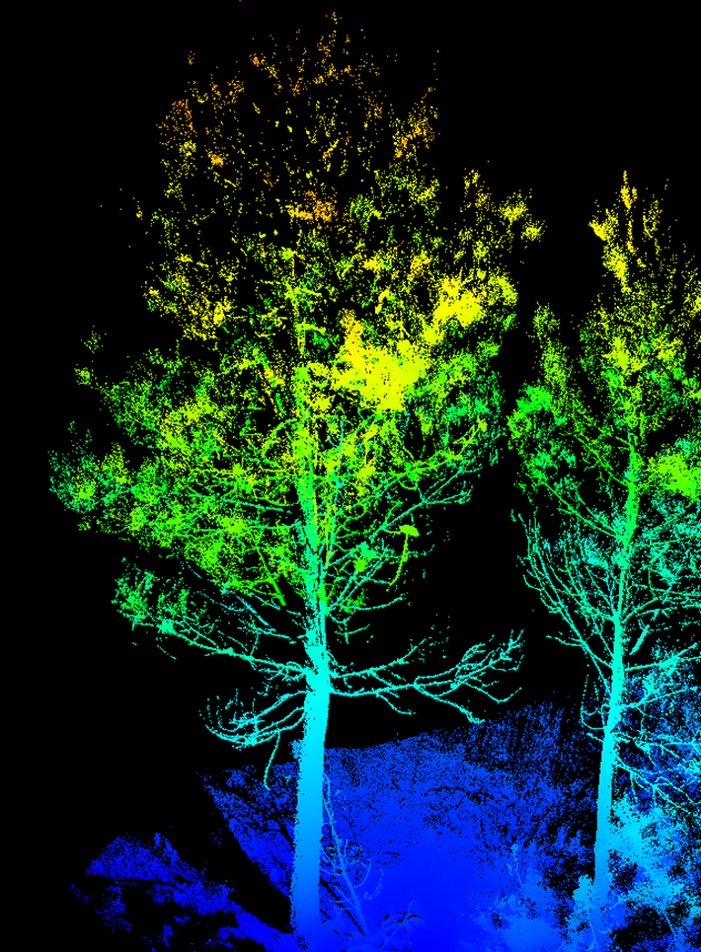 INARdesign - imagen_03.4.1.png
