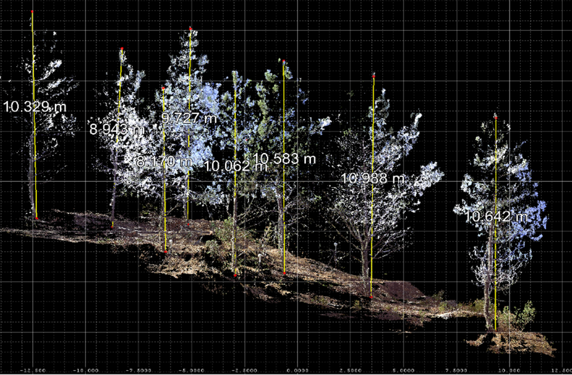 INARdesign - imagen_03.4.3.png