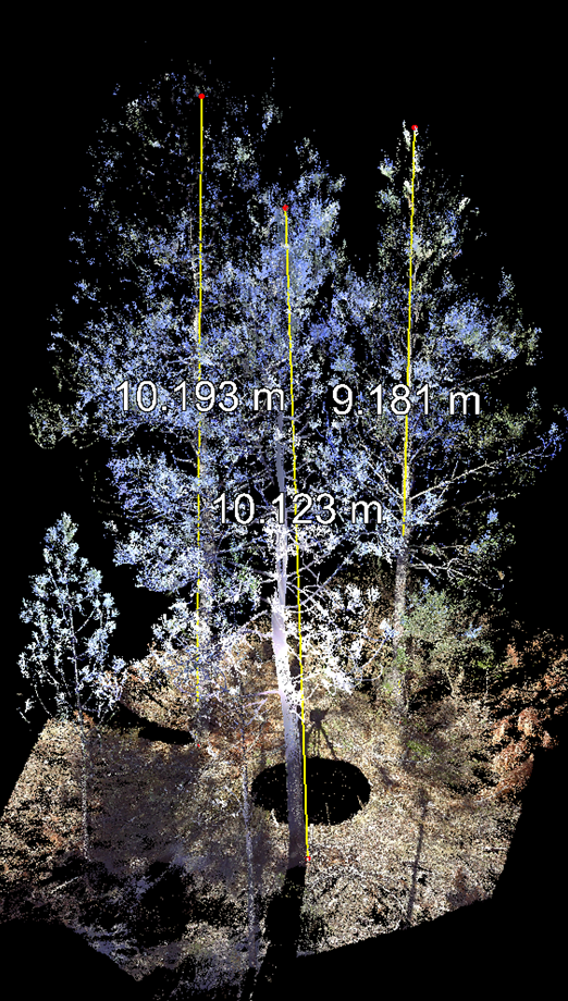 INARdesign - imagen_03.4.2.png