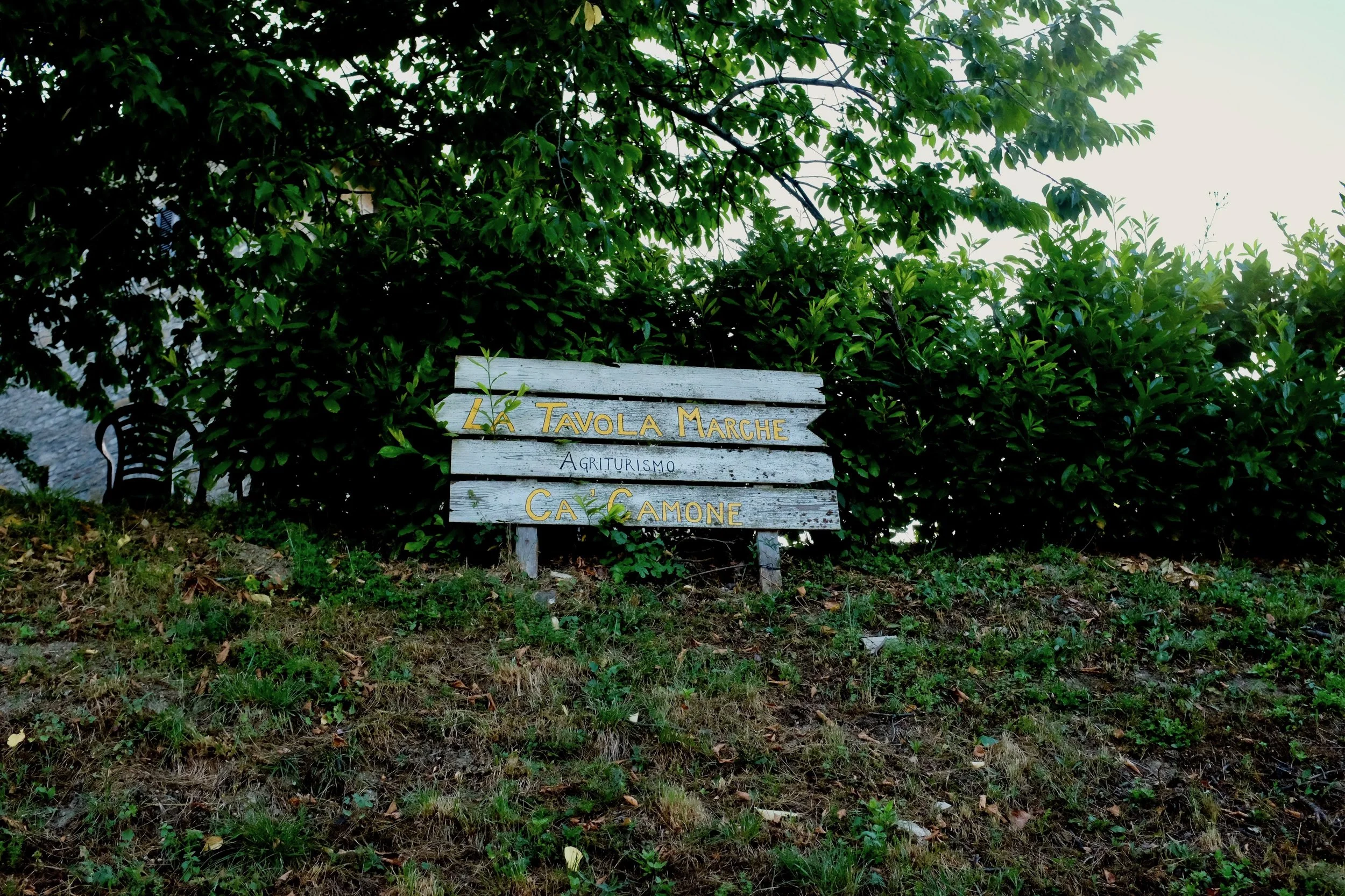 DSCF0852.jpg
