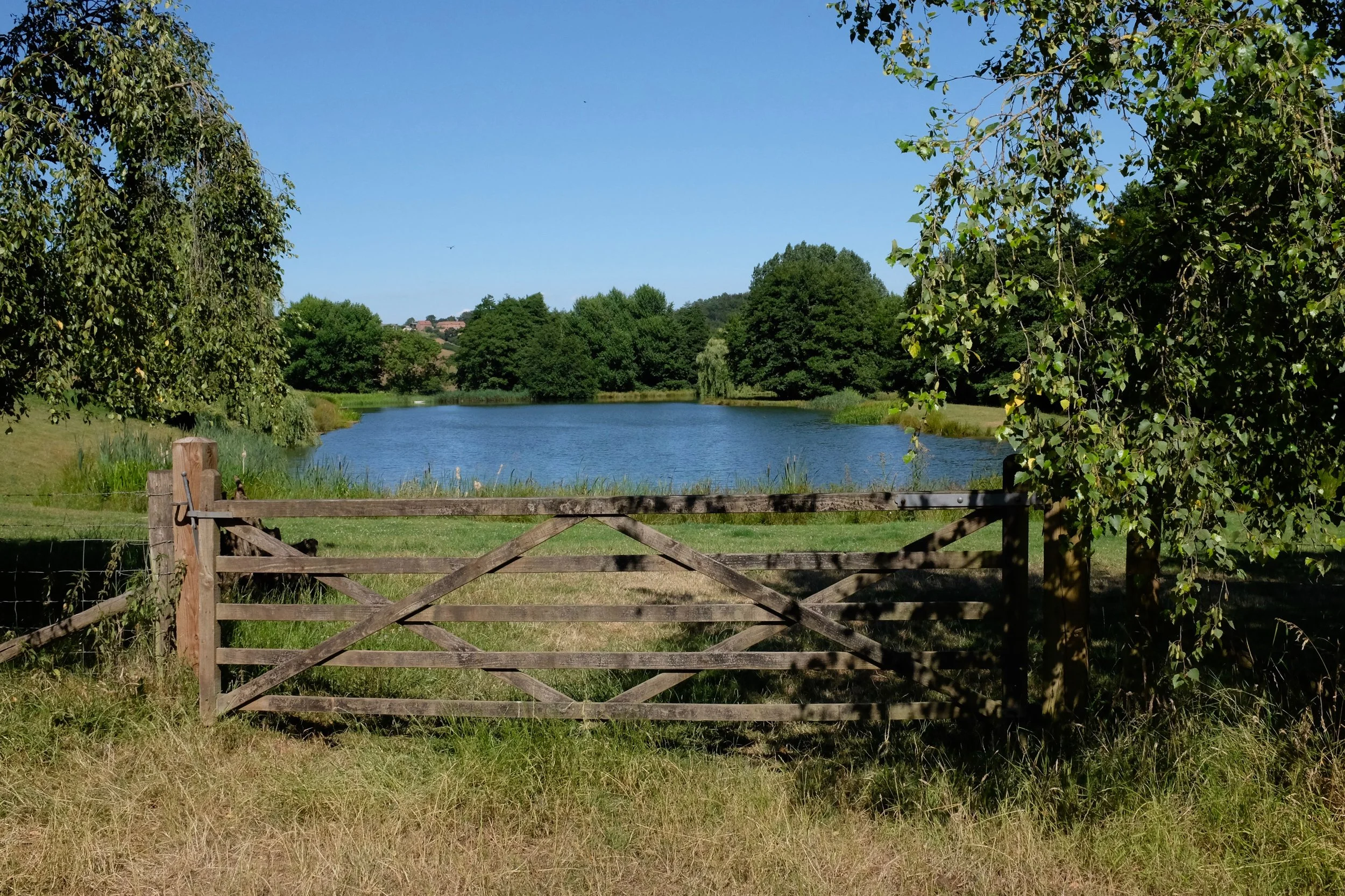 DSCF0990.jpg