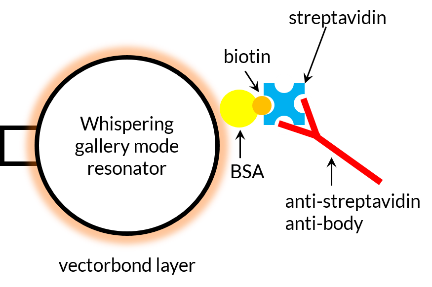 biosensing scheme.png