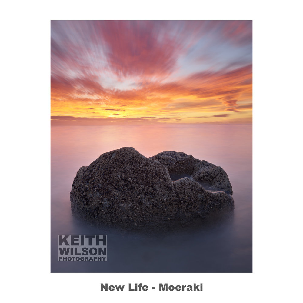 New Life - Moeraki