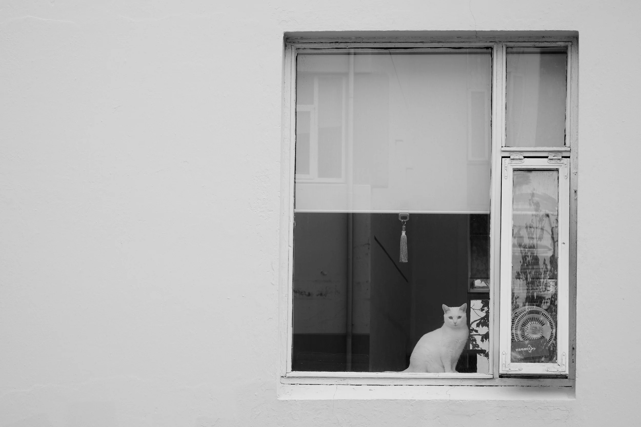 Around Reykjavik