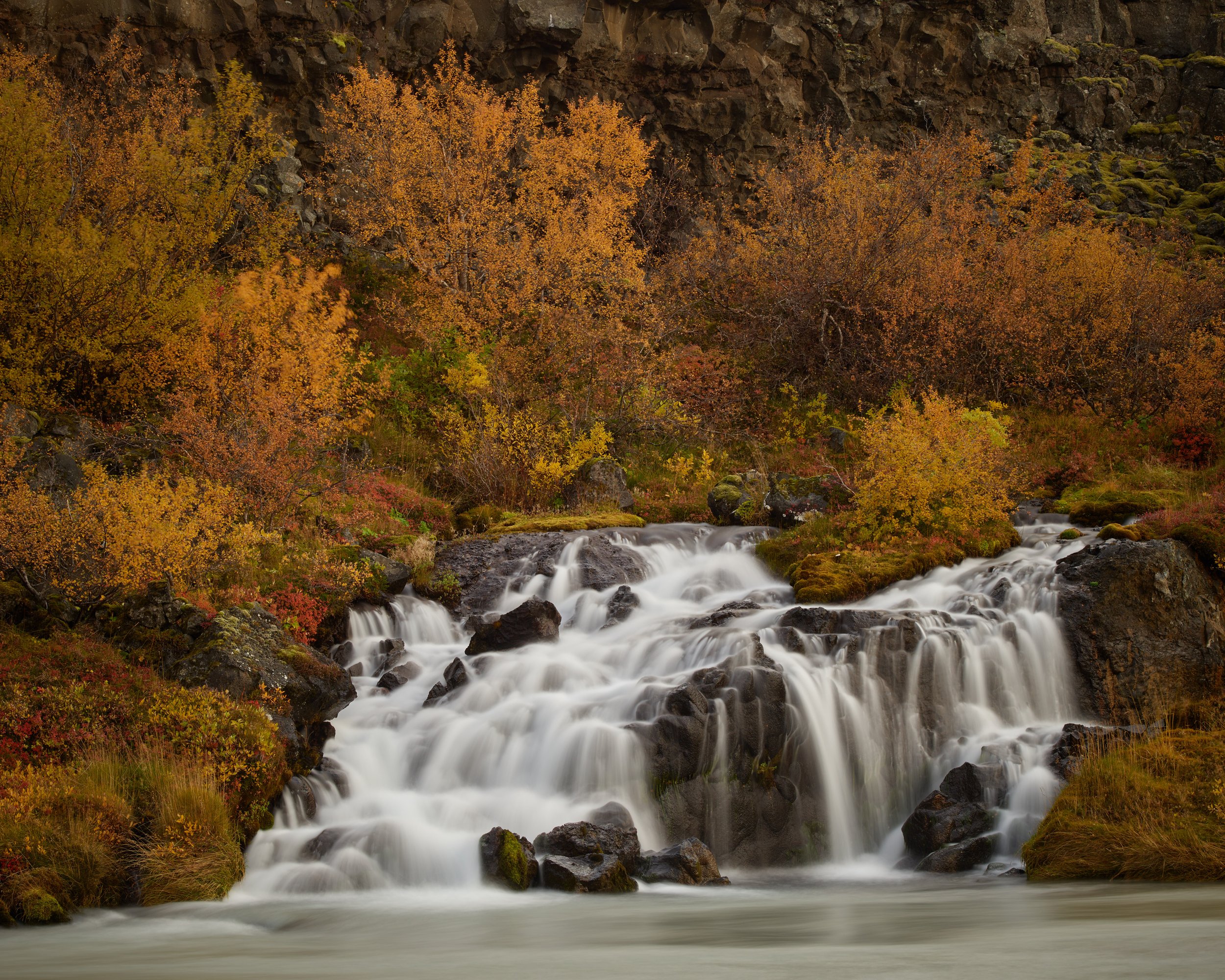 Hraunfossar Waterfall in Autumn