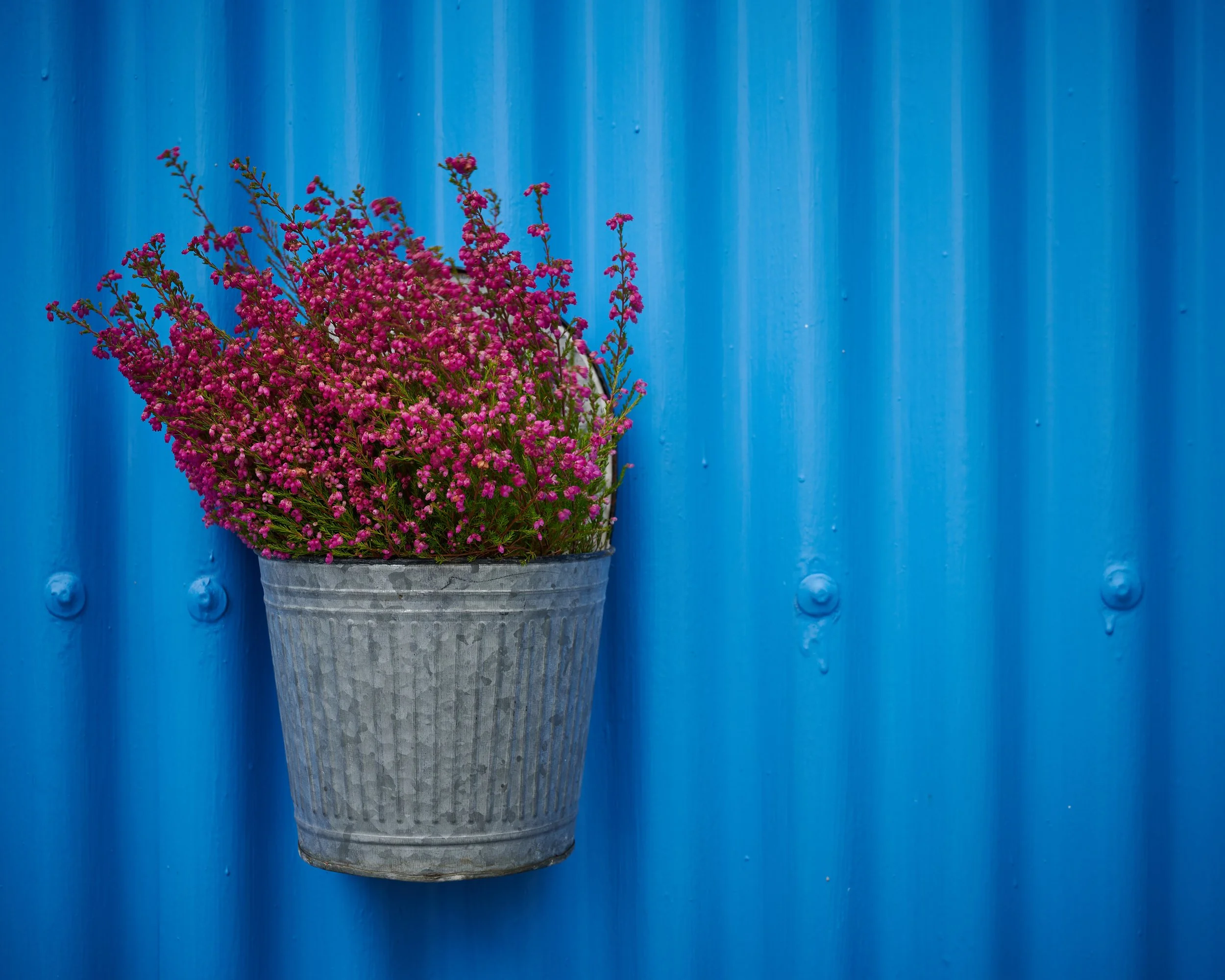 Around Reykjavik