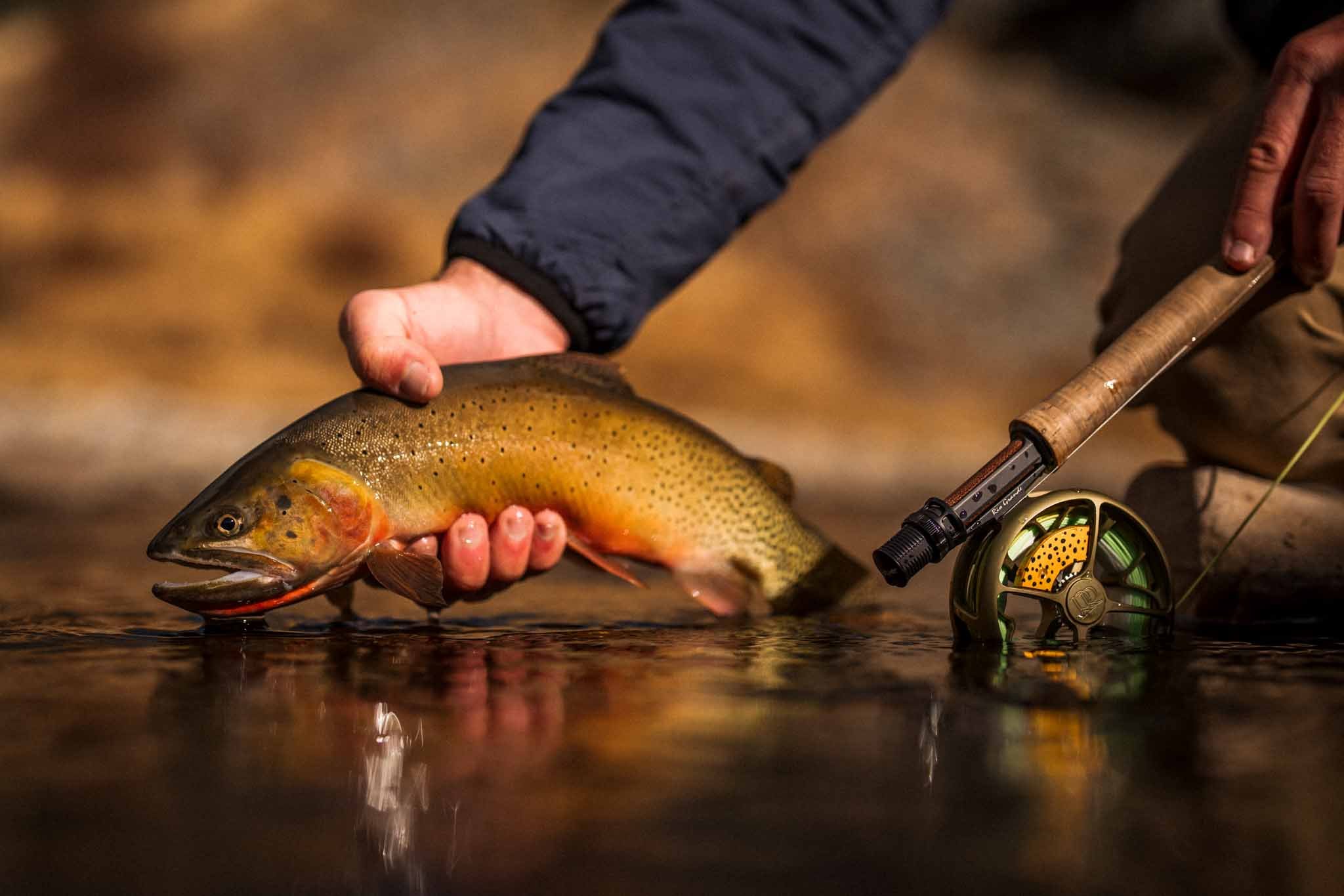 Ross Reels Rio Grande Cutthroat Native Series Reel — Colorado Trout  Unlimited