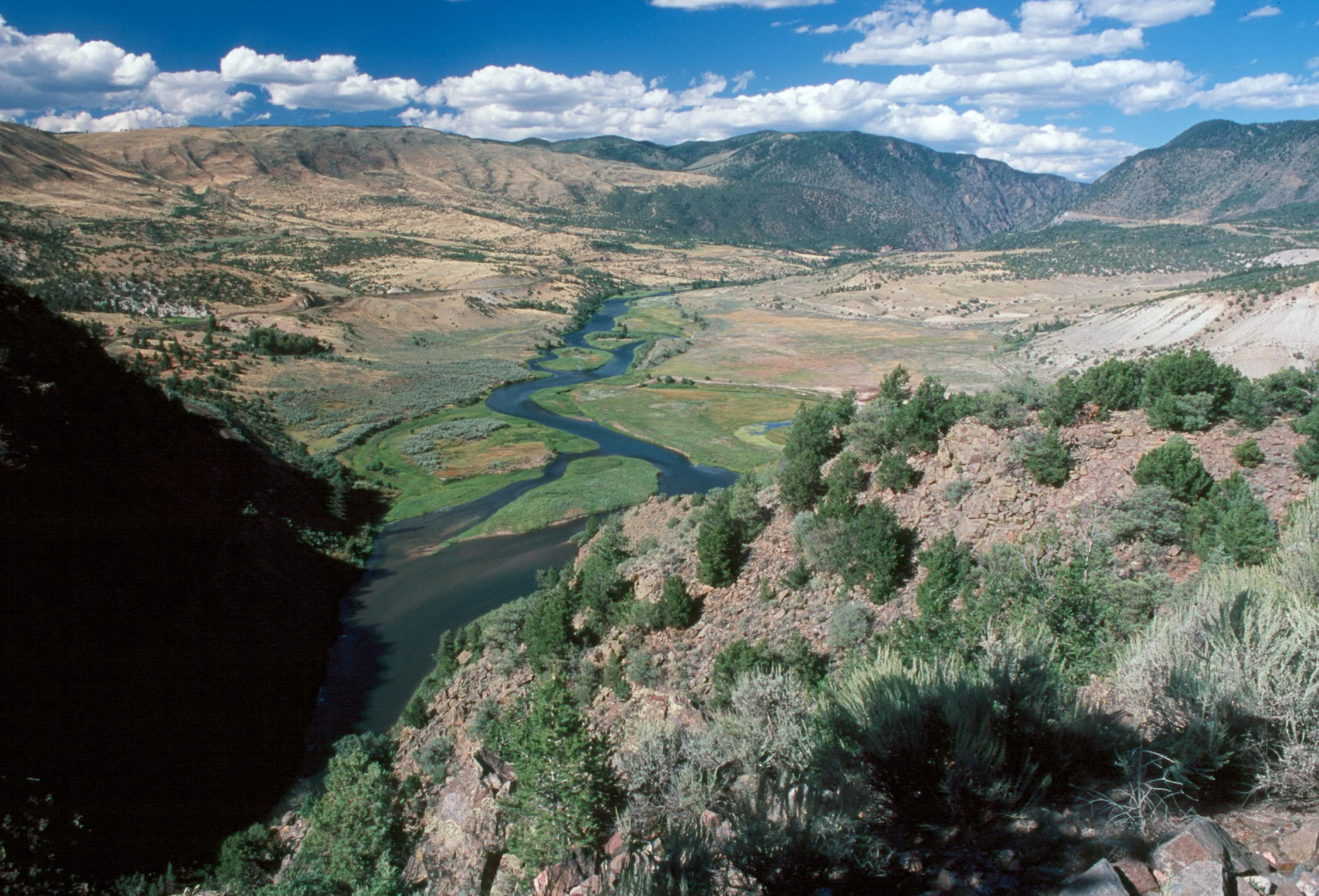 The Colorado River near Pumphouse
