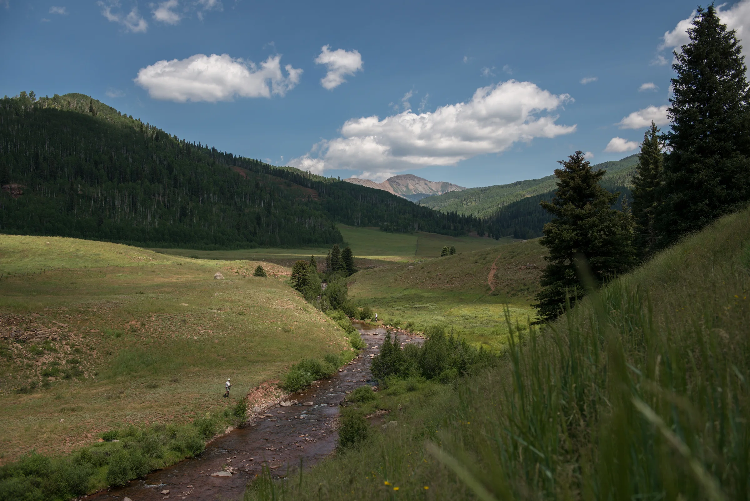 In 2014, TU and local partners secured passage of legislation making Hermosa Creek the first Congressionally-designated "watershed protection area."