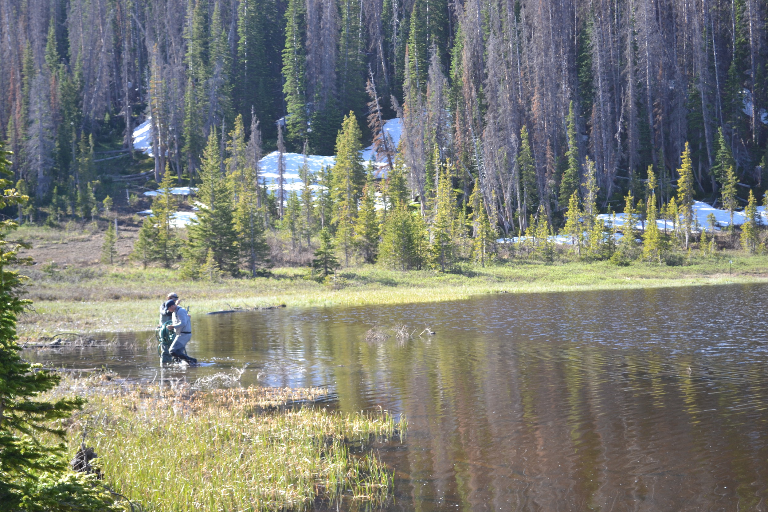 Zimmerman Inlet.jpg