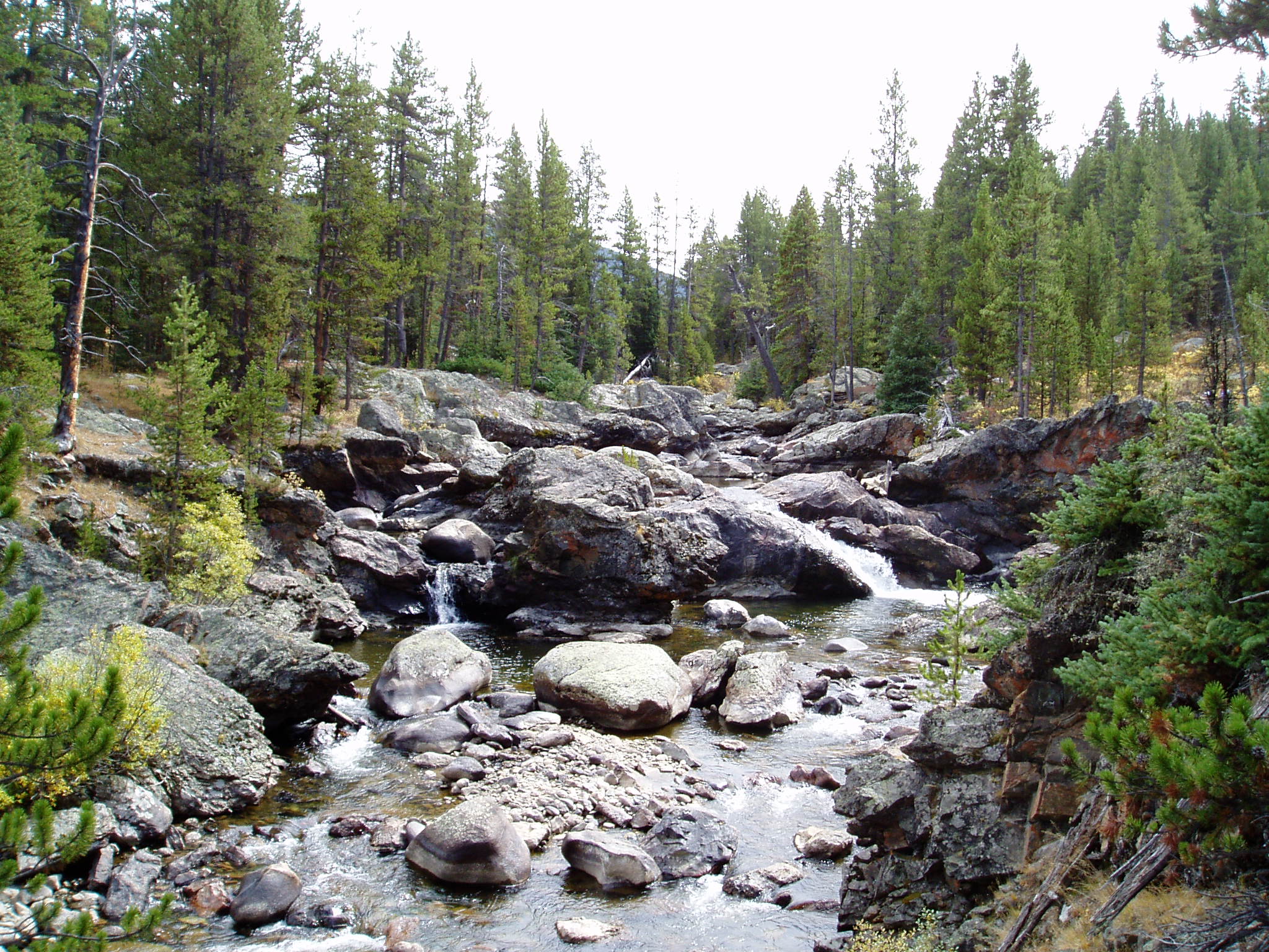 Pictured: Cache La Poudre River.