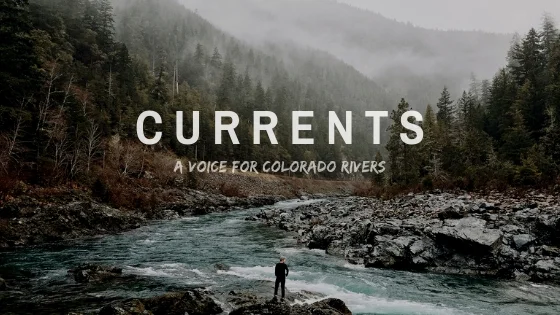 Currents Square.jpg