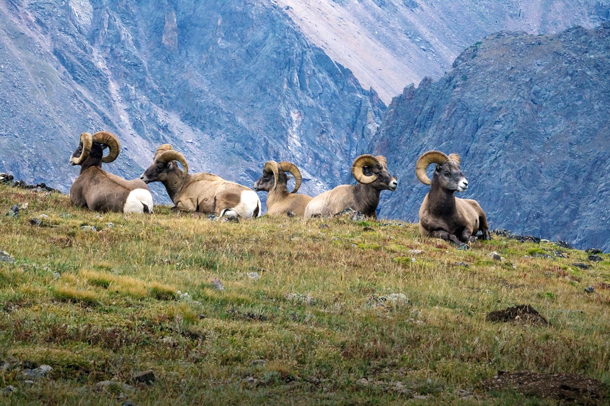 Image courtesy of NPS.