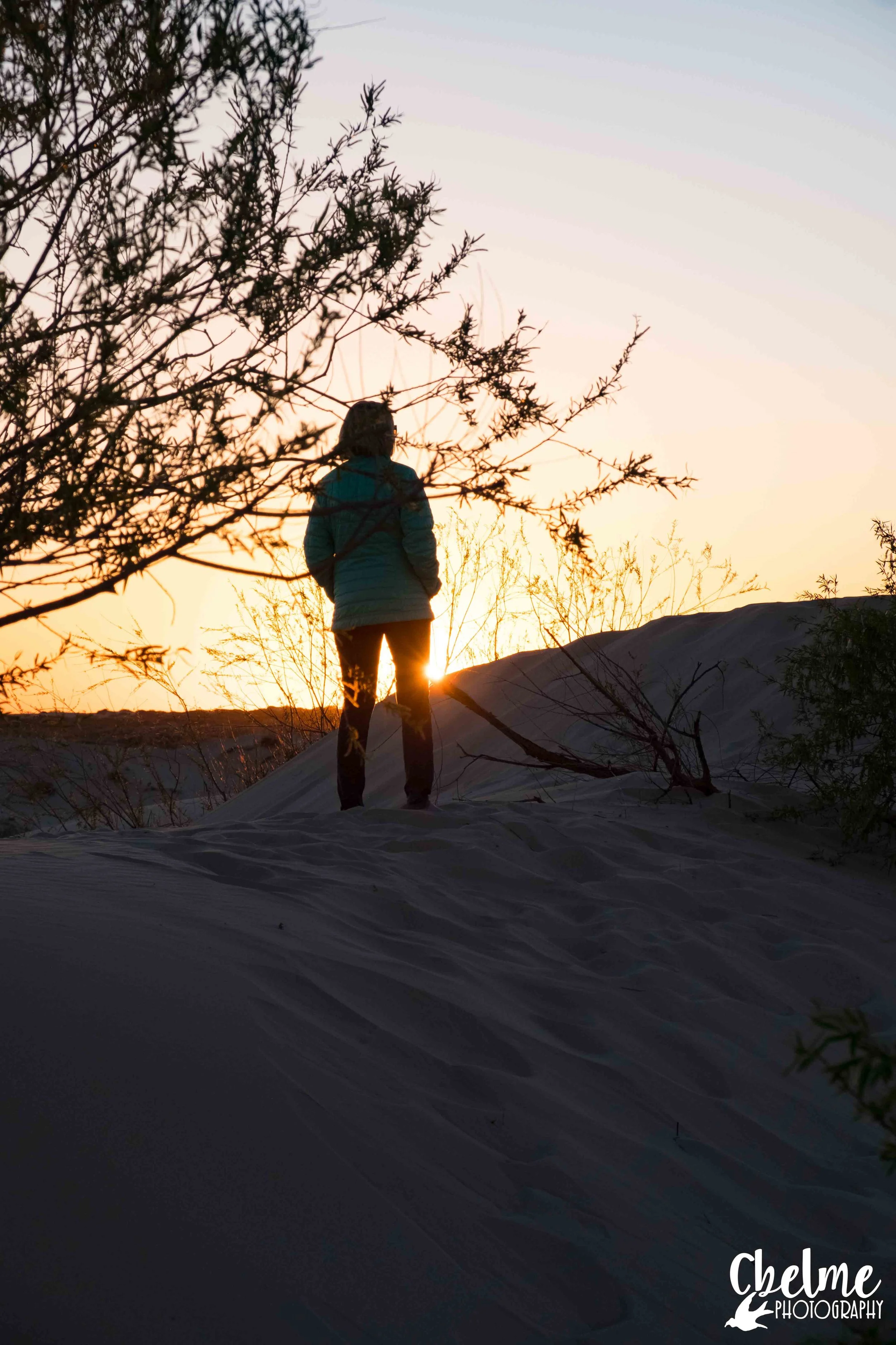 Monahans Sand Hills State Park