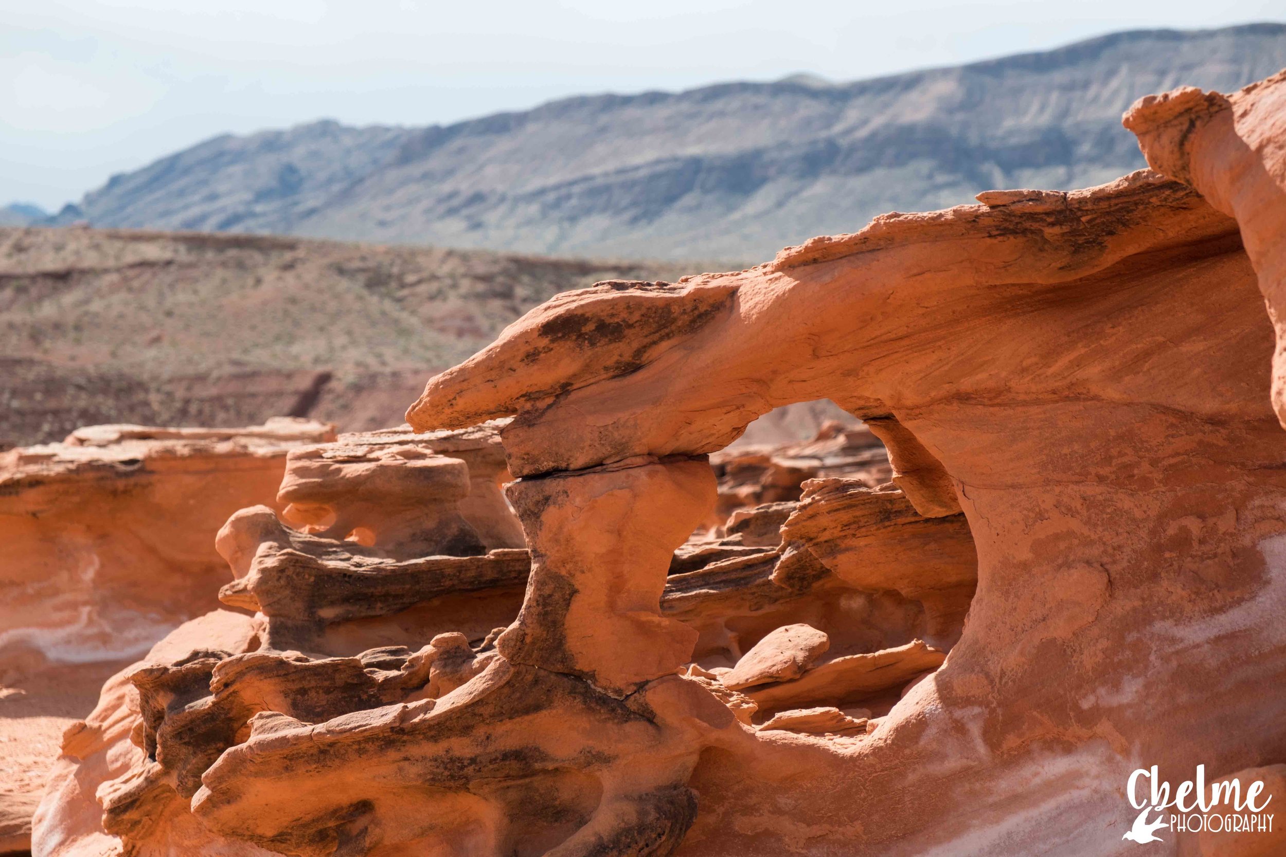  Gold Butte National Monument, Nevada   