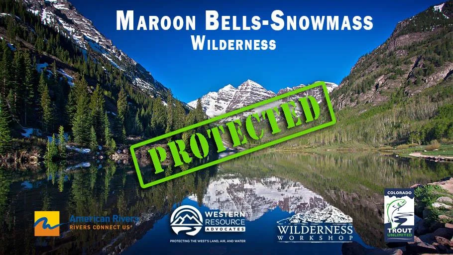 Maroonbellsprotected.jpg