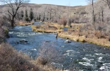 Fraser-river.jpg