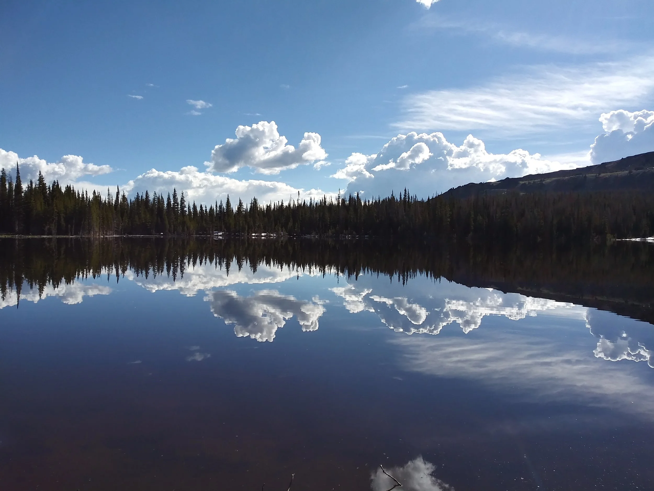 20190702_085320_HDR.jpg