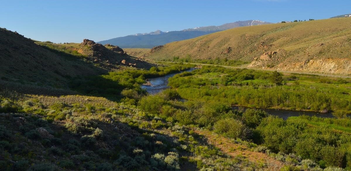 Picture provided by Central Colorado Conservancy.