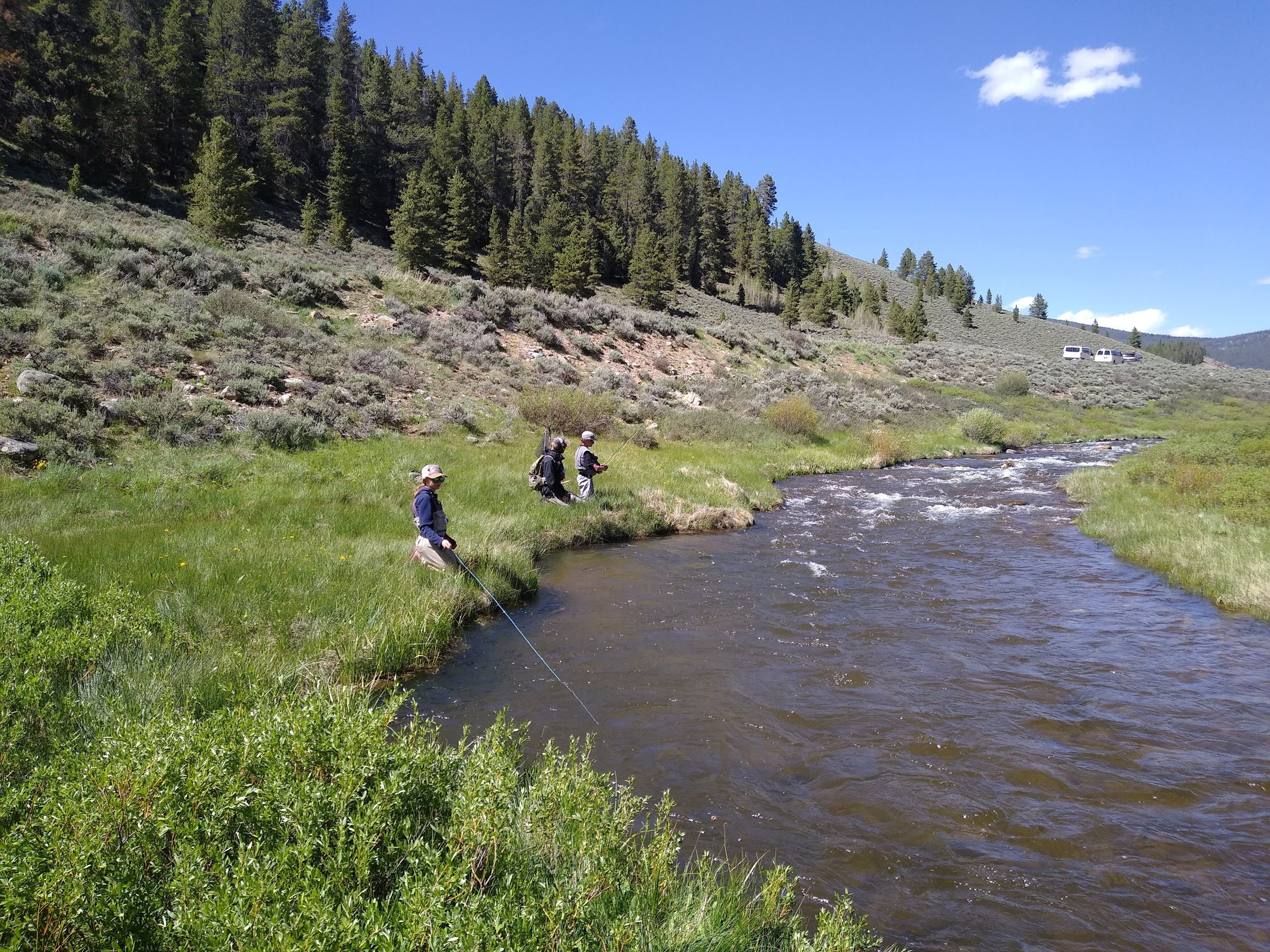River Conservation and Fly Fishing Camp — Colorado Trout Unlimited
