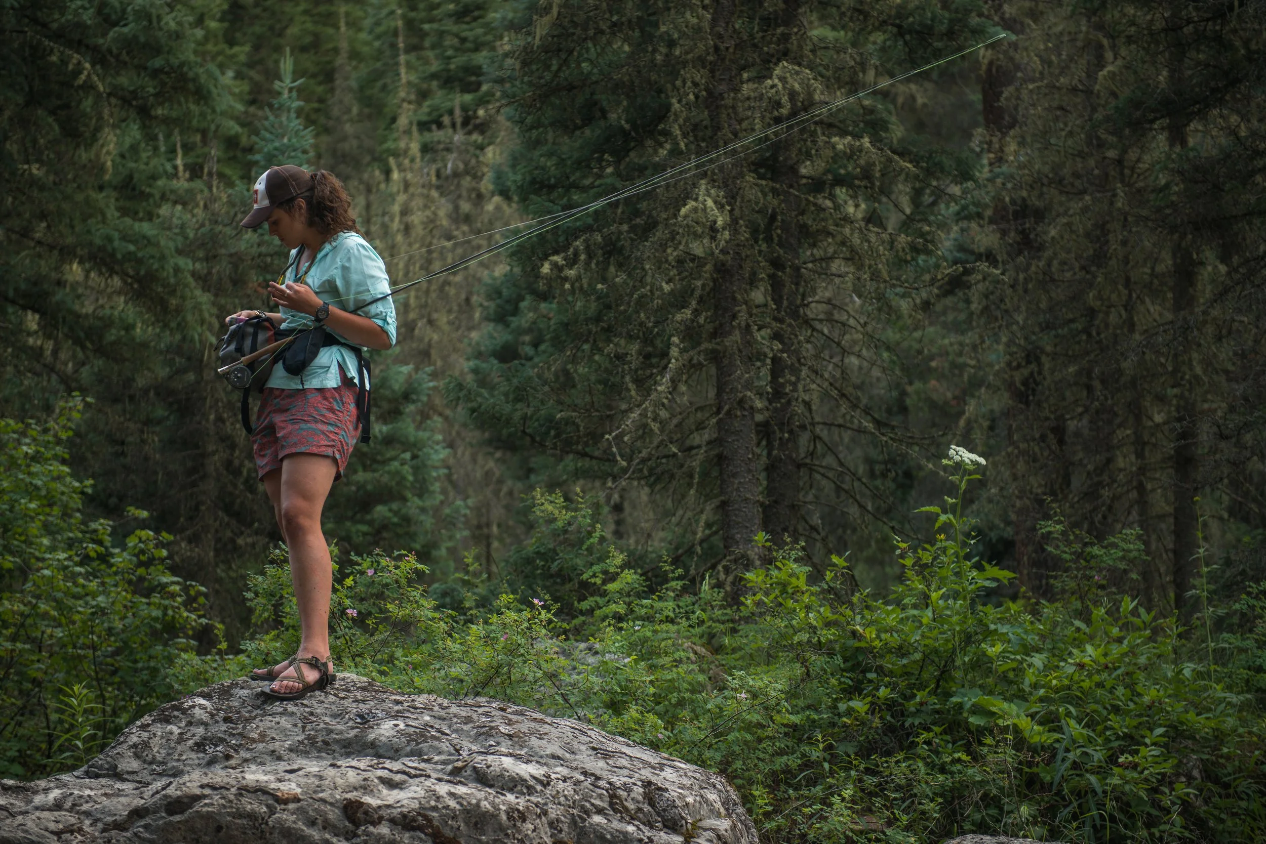 Join/Renew — Colorado Trout Unlimited