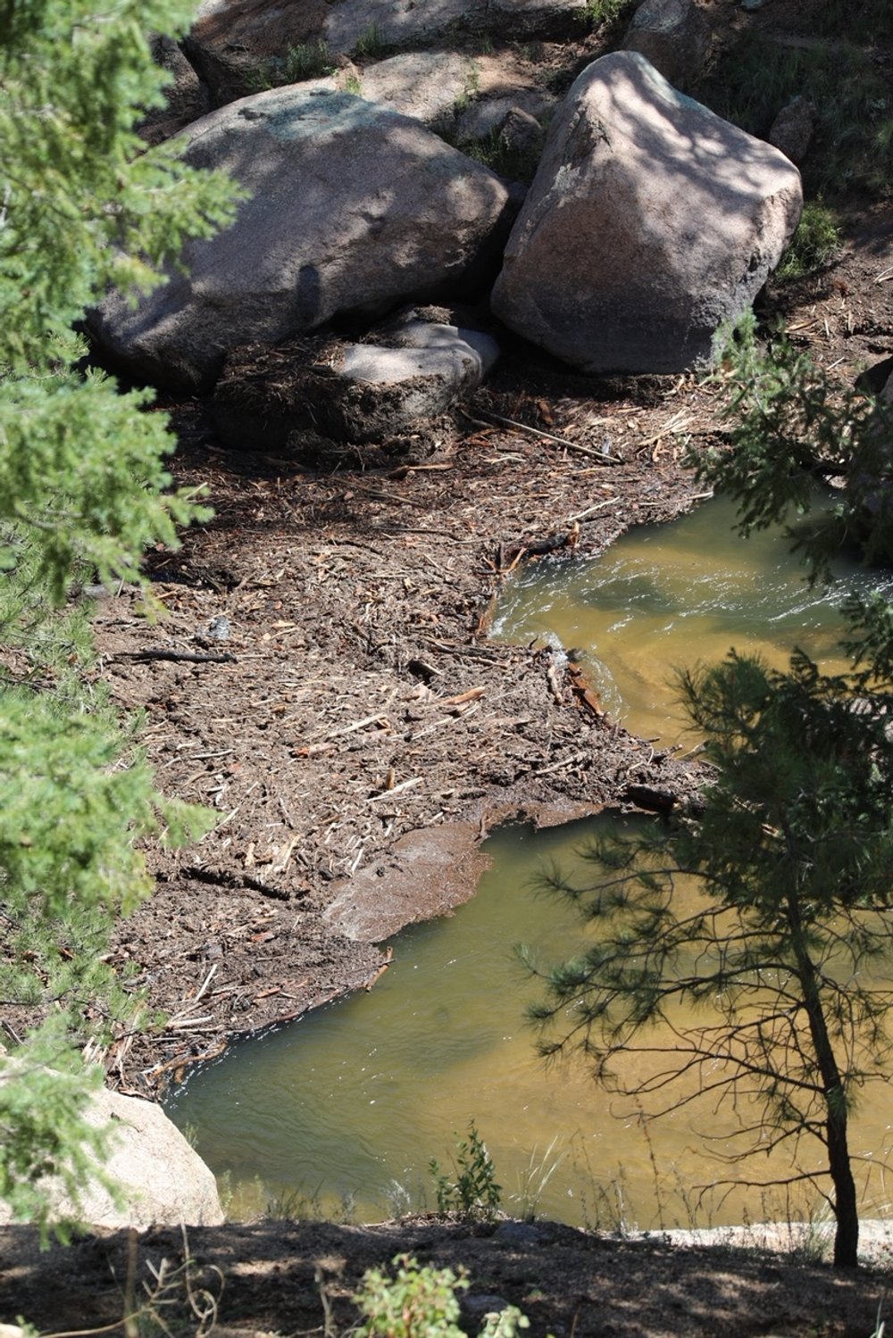 Update on Cheesman Canyon