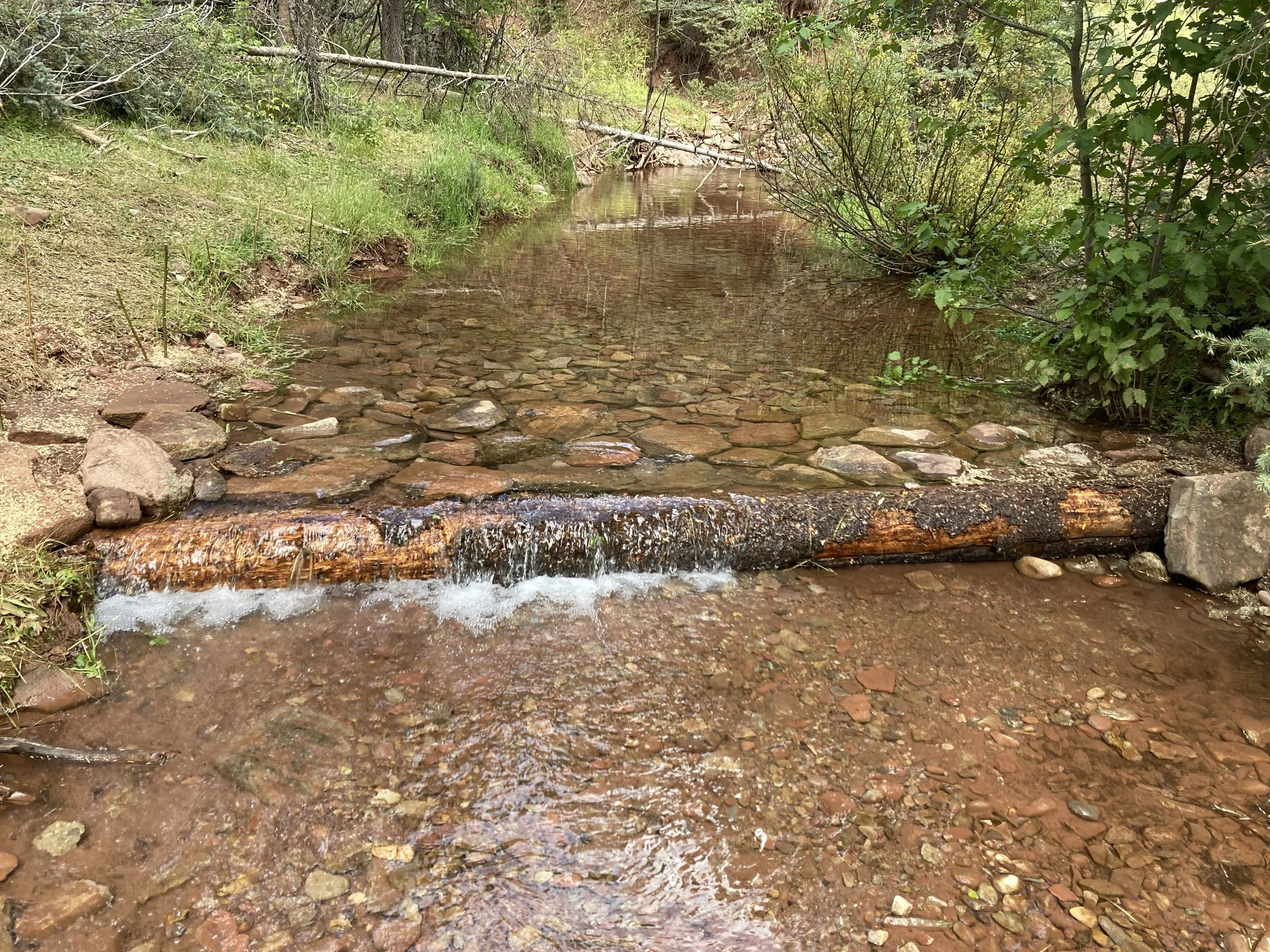 Wildcat Creek Receives Restoration Work