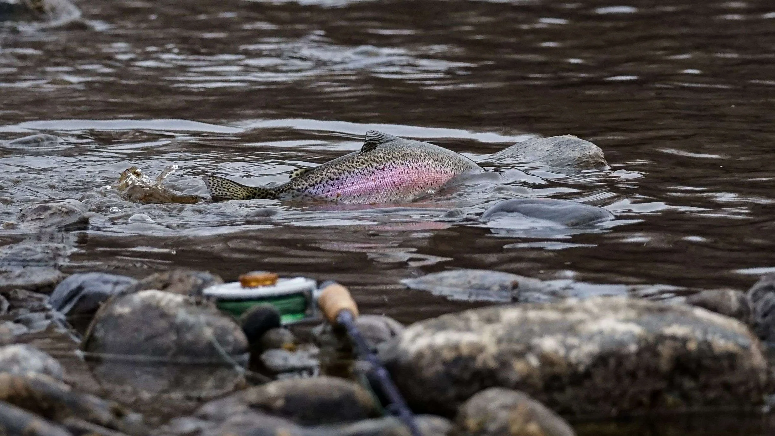 Frostbite Fish-Off Set For February 1st