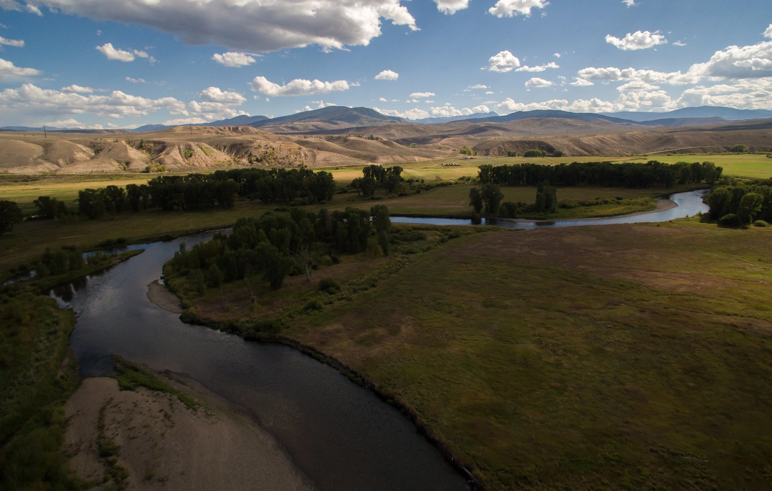 Adult zebra mussels confirmed in the Colorado River near Grand Junction