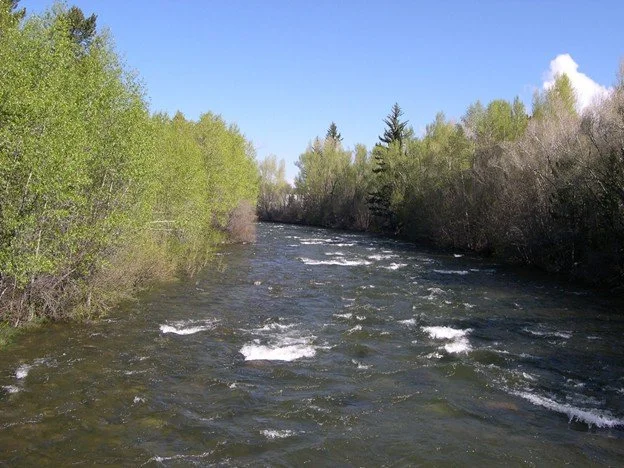 Blue River