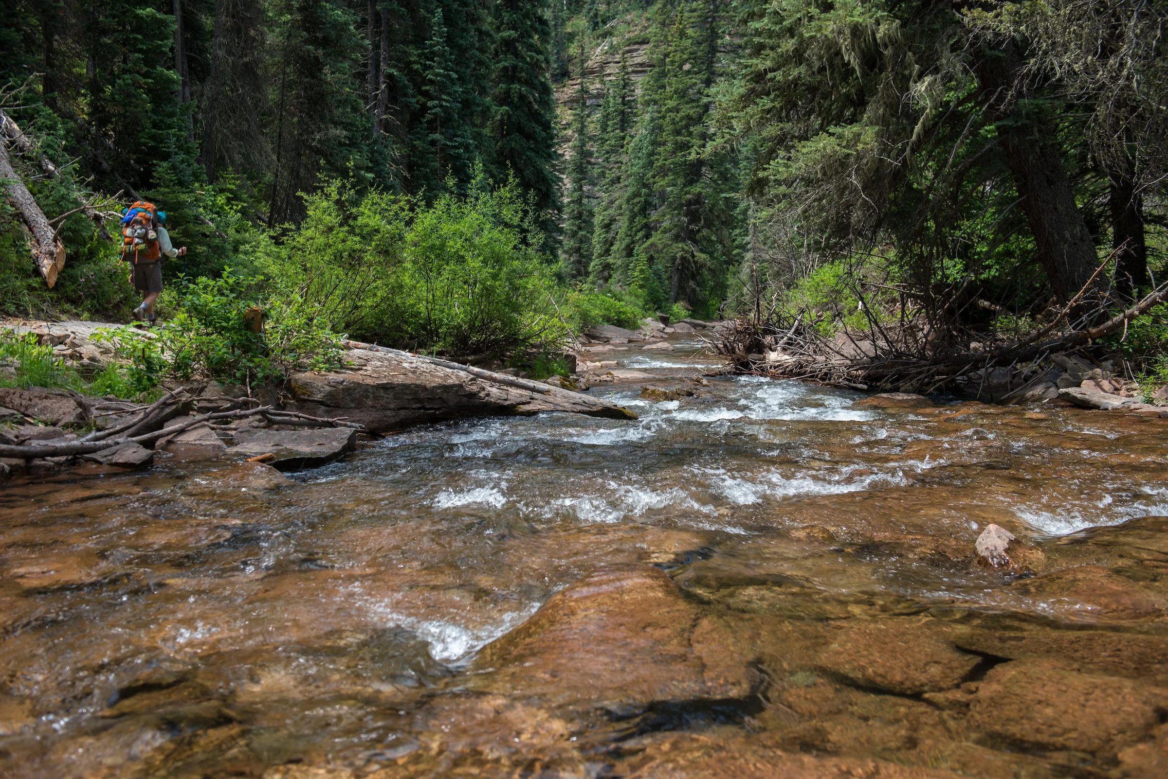 Hermosa Creek Restoration