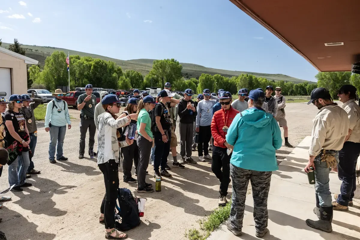 Credit Dave Papineau (13).webp