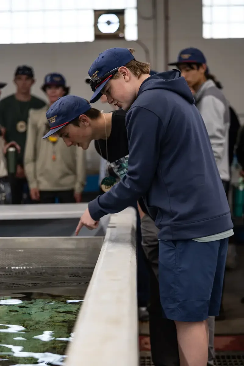 Credit Dave Papineau (15).webp