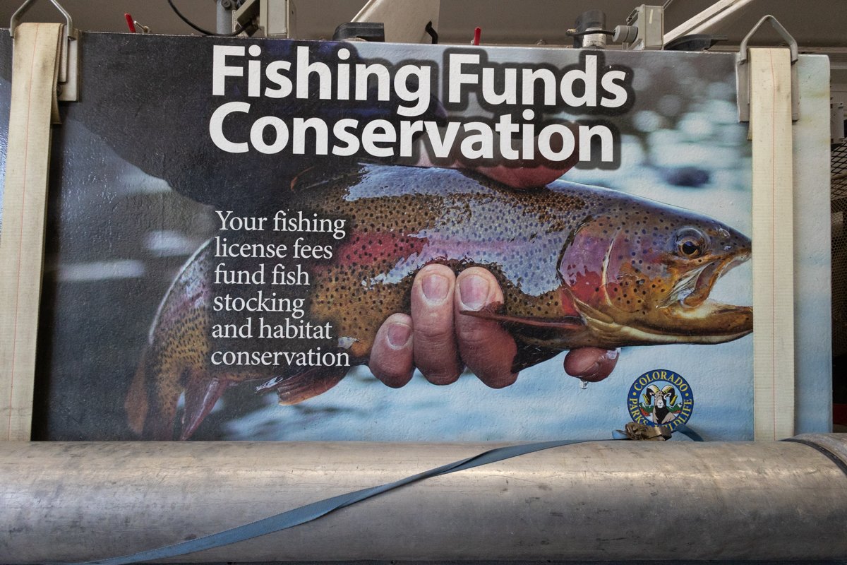 Credit Dave Papineau (127).jpg