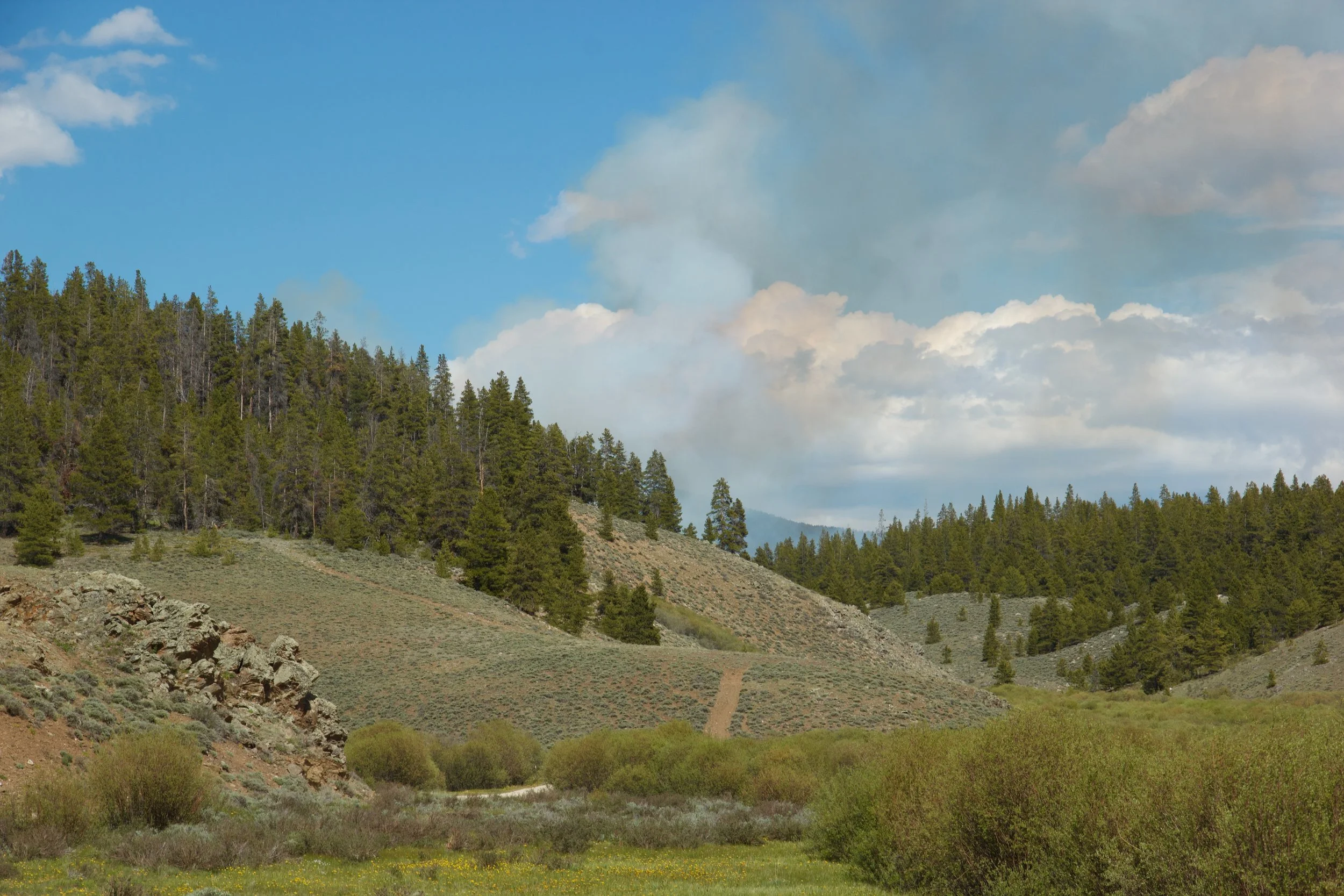 Grant Compton (1).jpeg