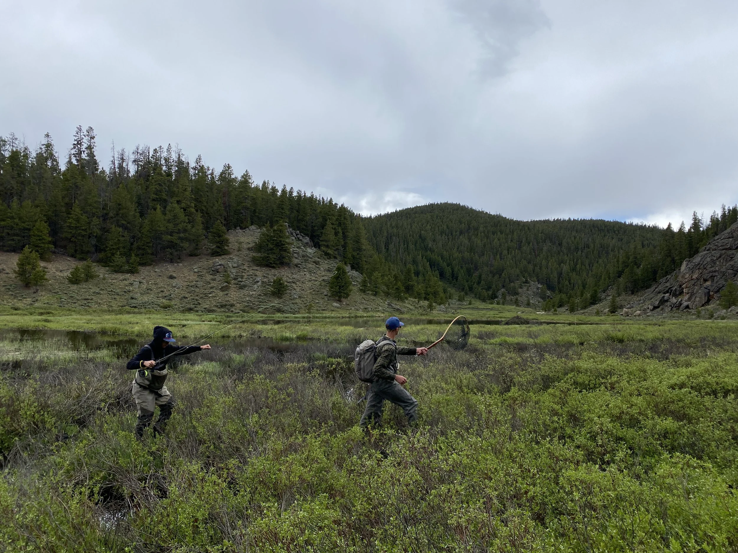 Rachel Juritsch (7).JPG