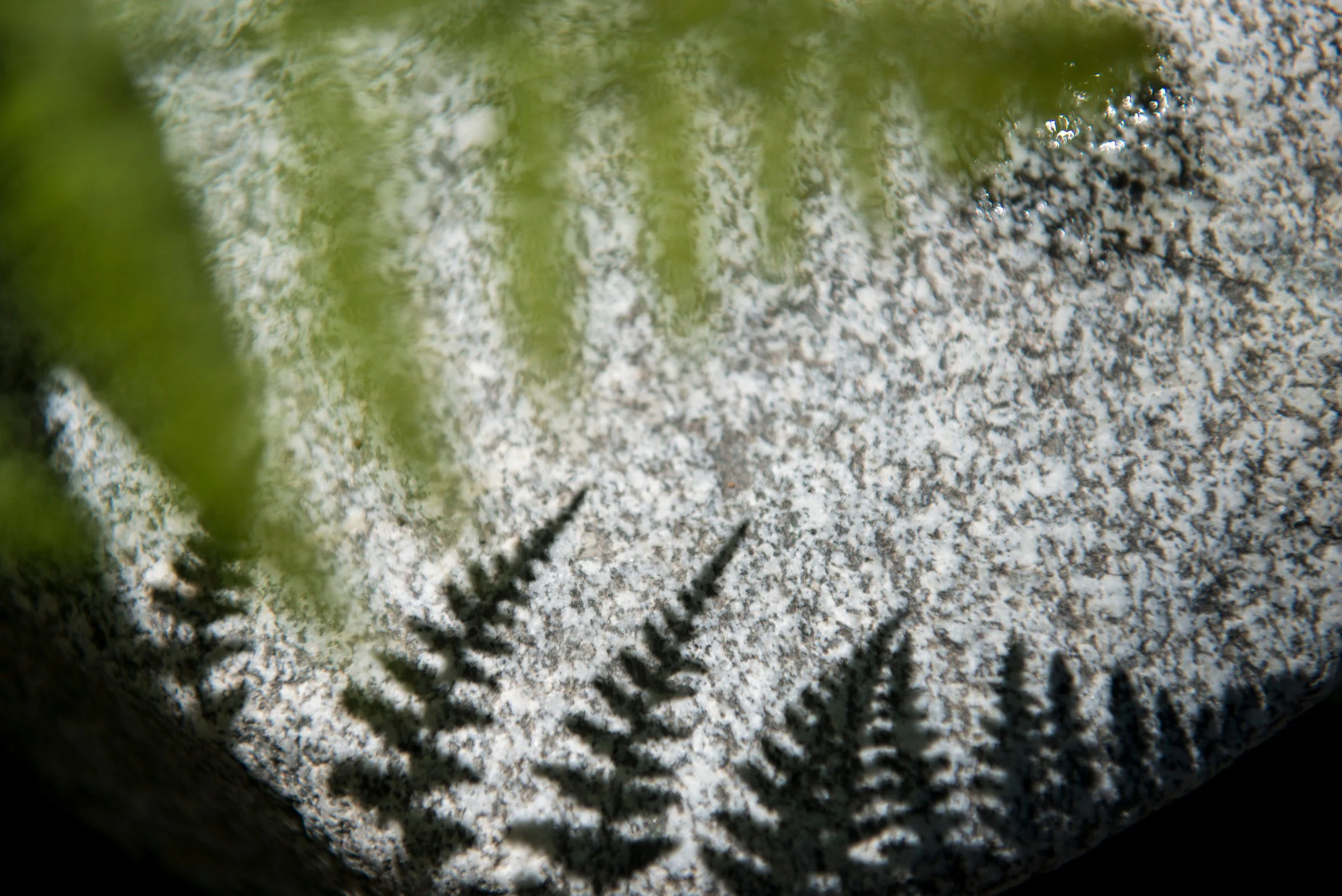 In Memory of Cheyenne Gililland